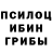 Псилоцибиновые грибы Magic Shrooms 9W3E Gt
