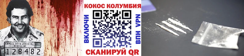 Купить где Елец COCAIN 99%