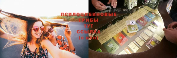 спайс Карталы