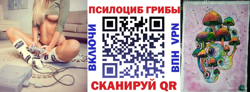Псилоцибиновые грибы Psilocybine cubensis  Купить  Елец 