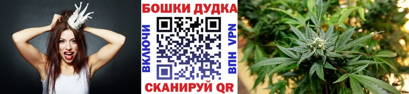 Конопля марихуана Купить где Елец
